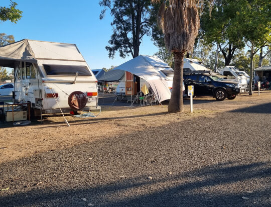 Powerered site populated with camper vans and motor homes